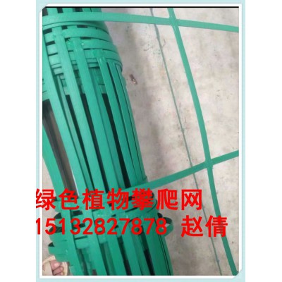 安平县绿色植物攀爬网绿色钢塑格栅厂家价格