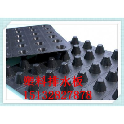 安平县塑料排水板蓄排水板土工格栅厂家价格