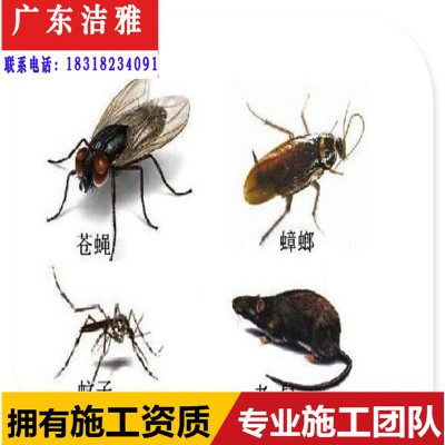 高要区白蚁防治中心/肇庆高要区房屋白蚁预防工程