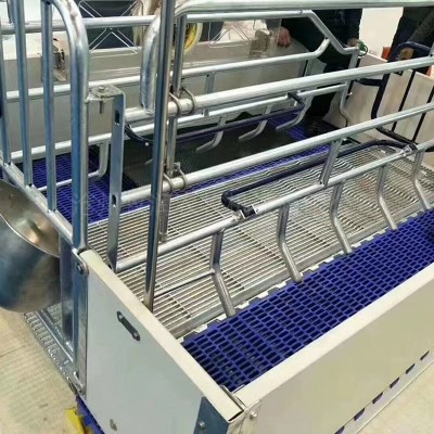 养殖场母猪产床欧式双体产床产保一体产床的配置和尺寸
