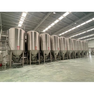 供应安徽的精酿啤酒设备工厂有哪些 日产吨的啤酒设备